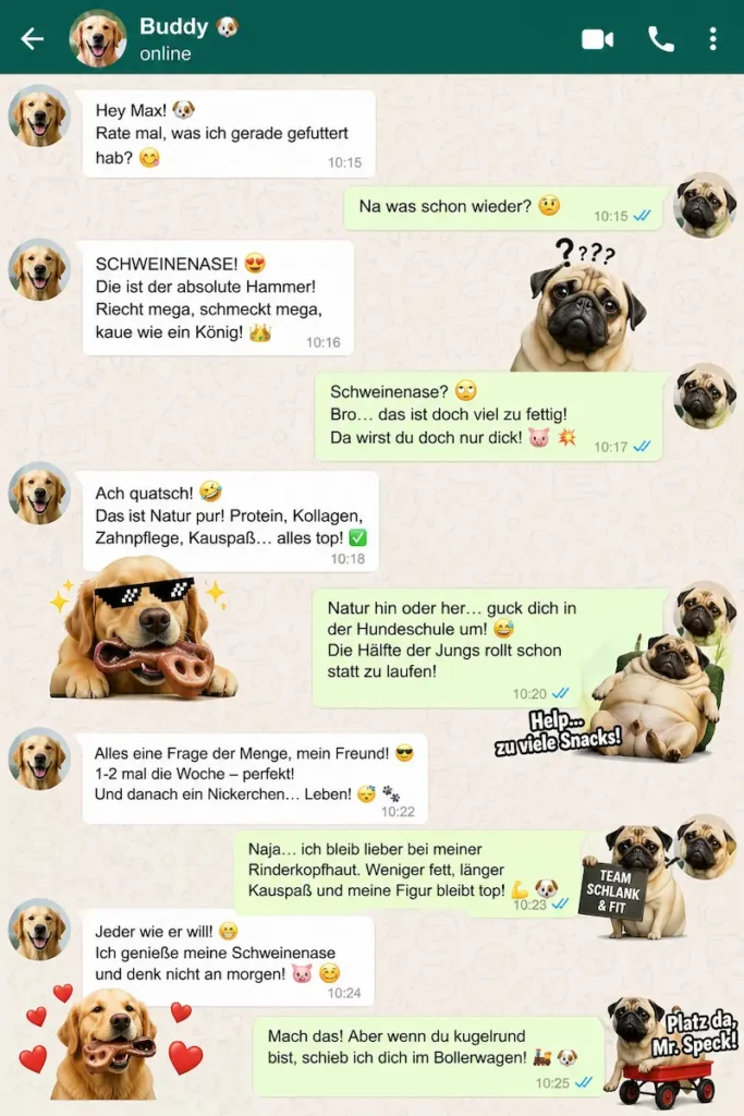 Humorvoller WhatsApp-Chat zwischen zwei Hunden: Ein Hund liebt Schweinenasen, der andere warnt vor Fettgehalt und Gewichtszunahme