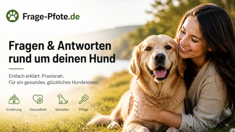 Alles, was du über deinen Hund wissen musst – einfach erklärt.