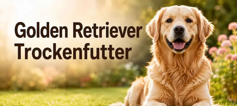 Golden Retriever liegt in einem sonnigen Garten neben der Überschrift „Golden Retriever Trockenfutter“.