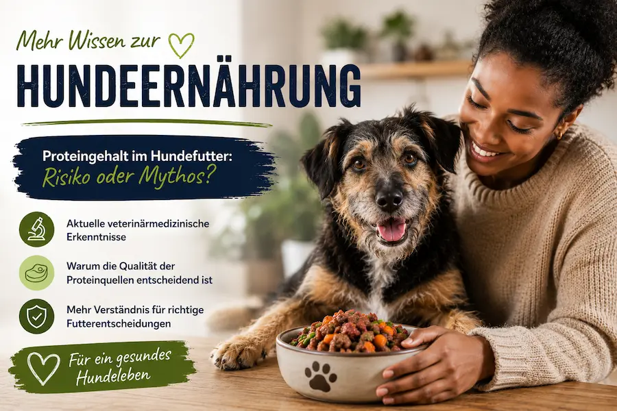Hundehalterin sitzt mit einem freundlichen Mischlingshund an einem Tisch und betrachtet eine Schüssel Hundefutter. Die Infografik erklärt den Zusammenhang zwischen Proteingehalt, Fleischanteil und einer ausgewogenen Hundeernährung.